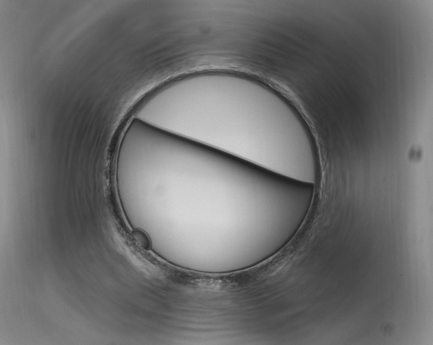 X0000115530439200911061131