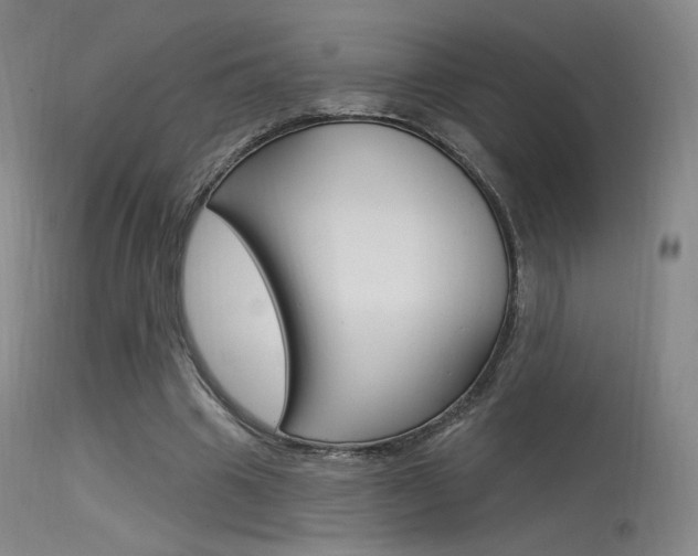 X0000115530441200911061131