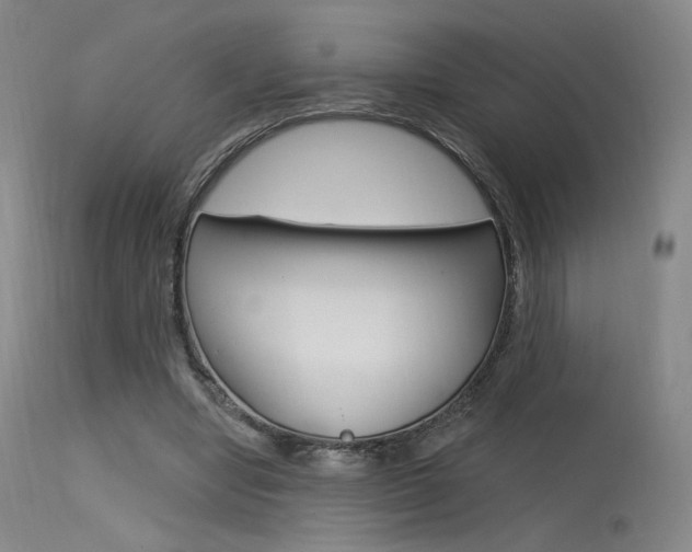 X0000115530442200911061131