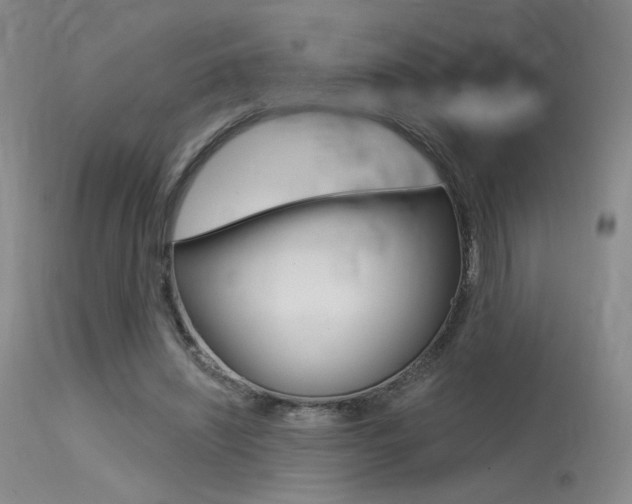 X0000115530444200911061131