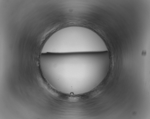X0000115530450200911061131