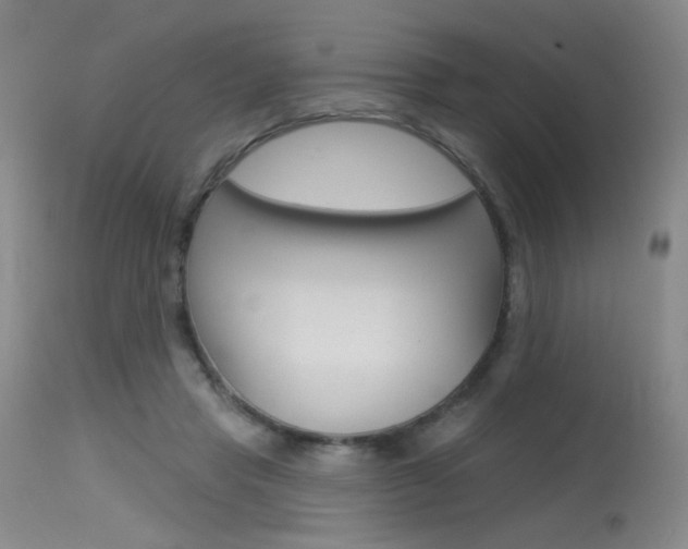 X0000115530453200911061131