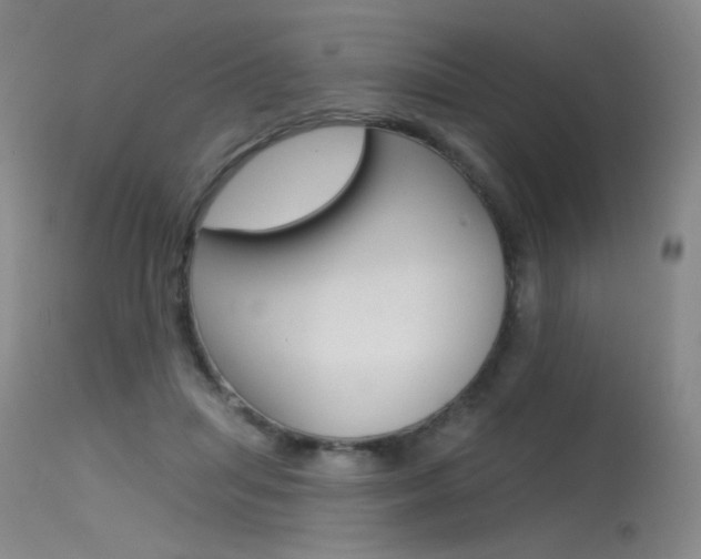 X0000115530455200911061131