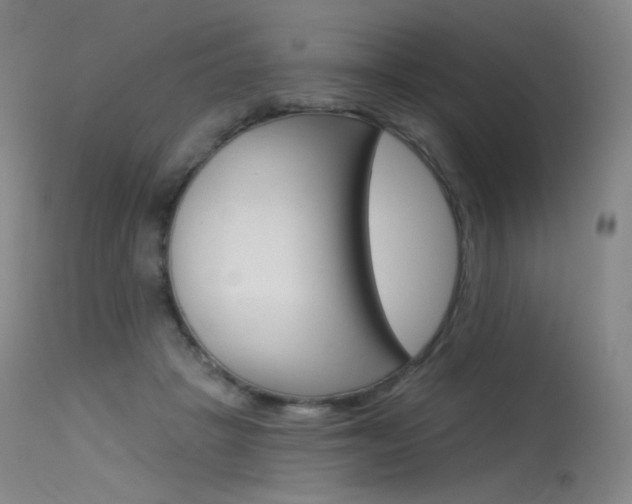 X0000115530457200911061131