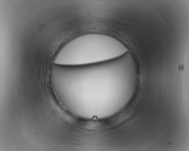 X0000115530458200911061131