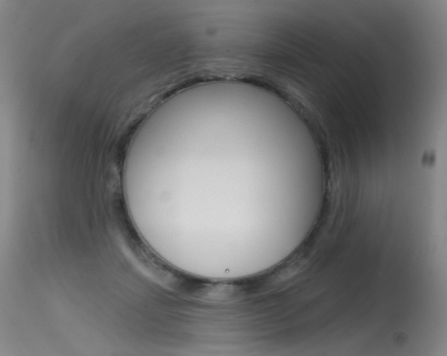 X0000115530459200911061131