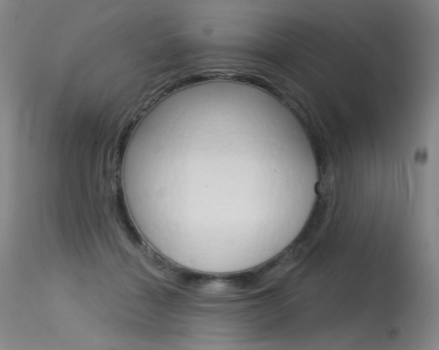 X0000115530460200911061131