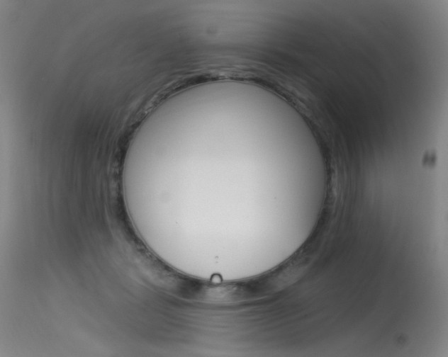 X0000115530461200911061131