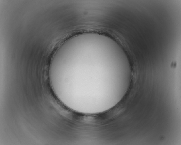 X0000115530462200911061131