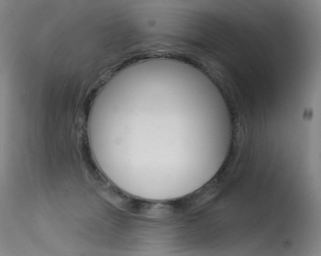 X0000115530463200911061131