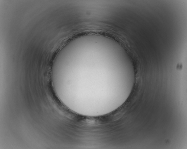 X0000115530464200911061131