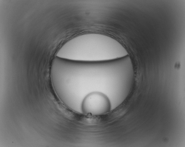 X0000115530466200911061131