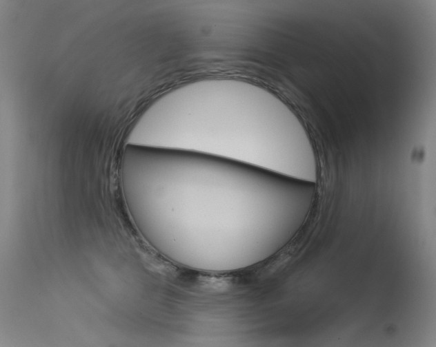 X0000115530469200911061131