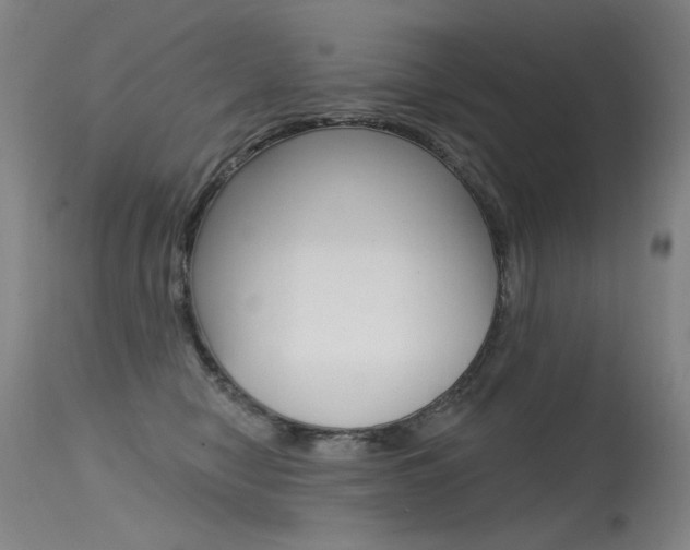 X0000115530470200911061131
