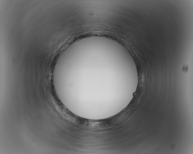 X0000115530472200911061131