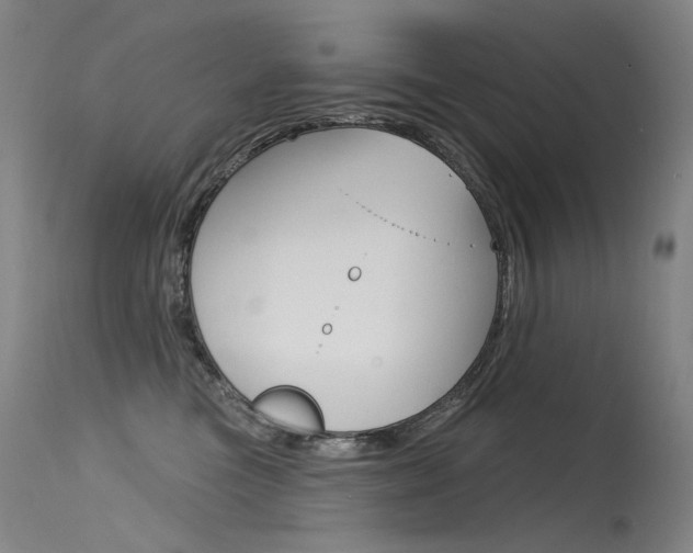 X0000115530473200911061131