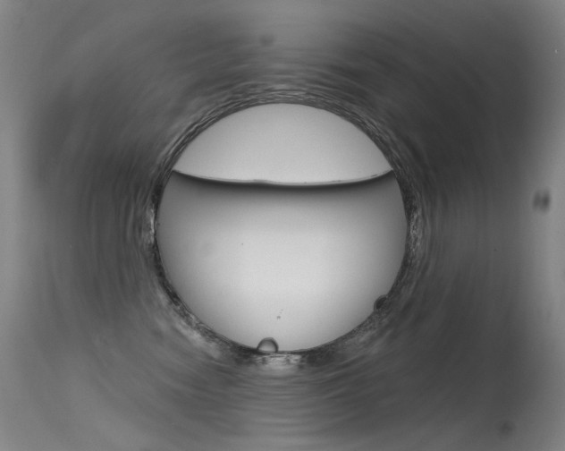 X0000115530474200911061131
