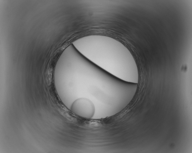 X0000115530475200911061131