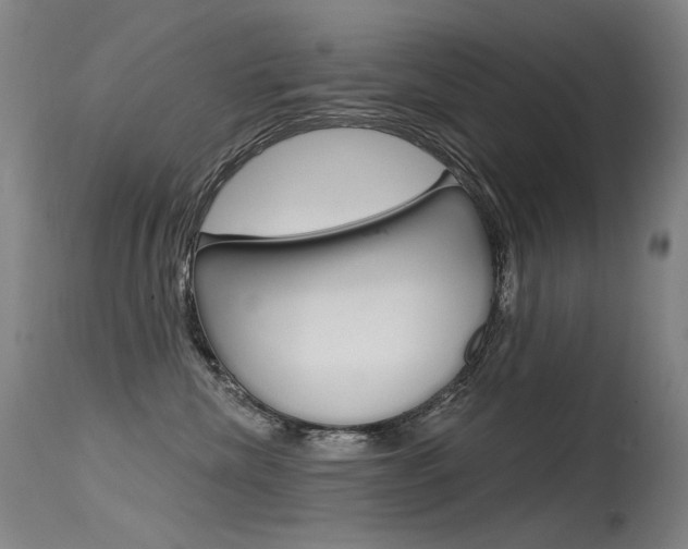 X0000115530476200911061131