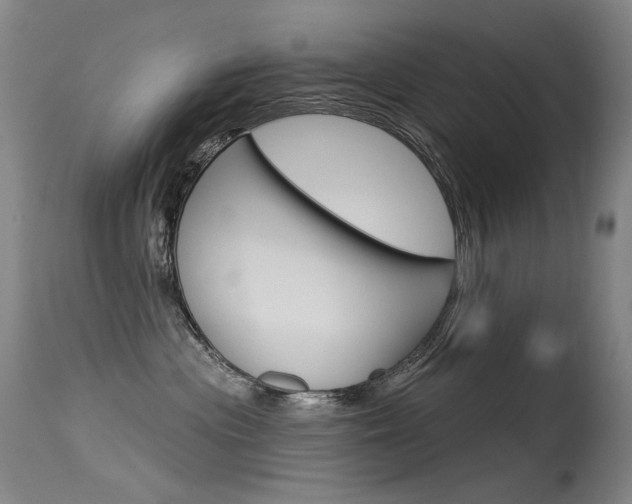 X0000115530477200911061131