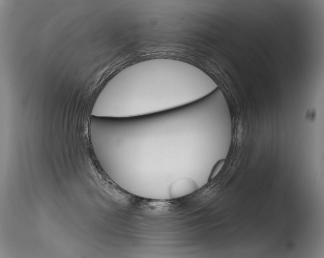 X0000115530478200911061131