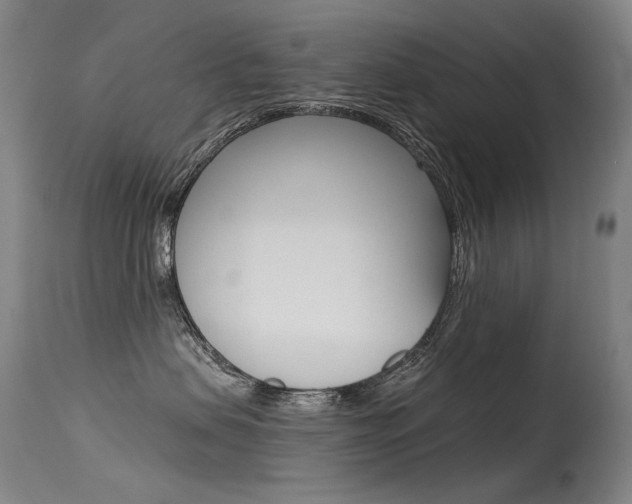 X0000115530479200911061131