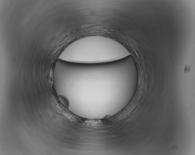 X0000115530480200911061131