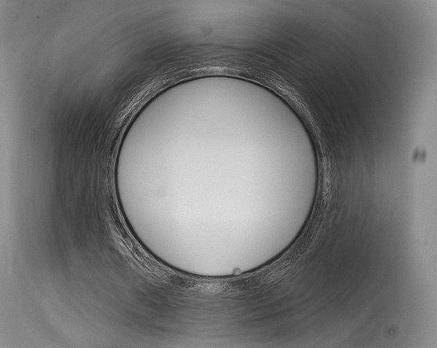 X0000115530482200911061130