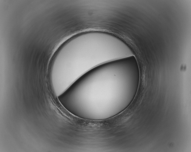 X0000115530484200911061130