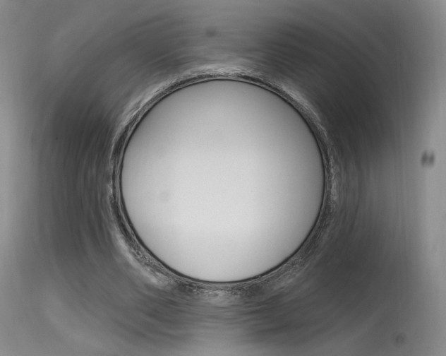 X0000115530486200911061130