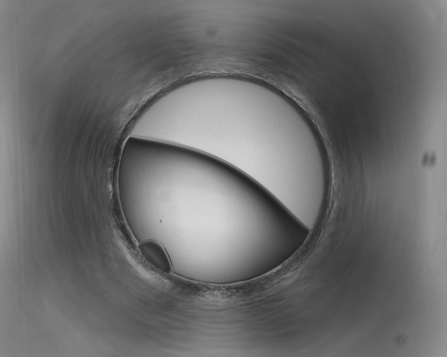 X0000115530489200911061130