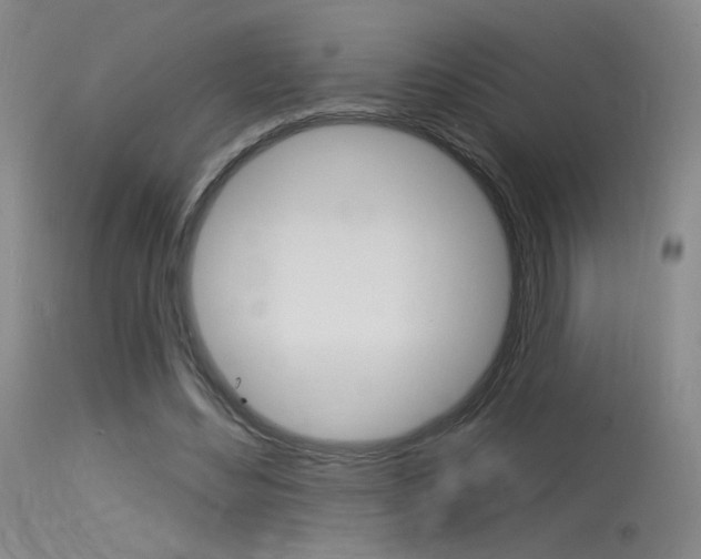 X0000115530492200911061130