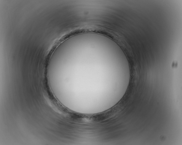 X0000115530496200911061130