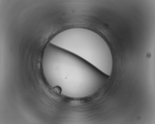 X0000115530499200911061130