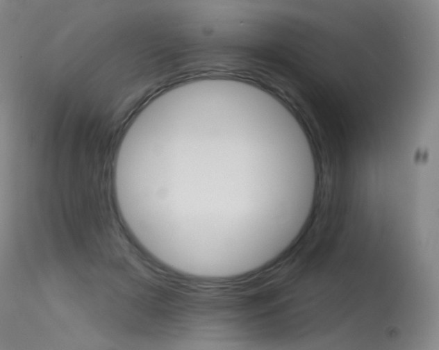 X0000115530505200911061130