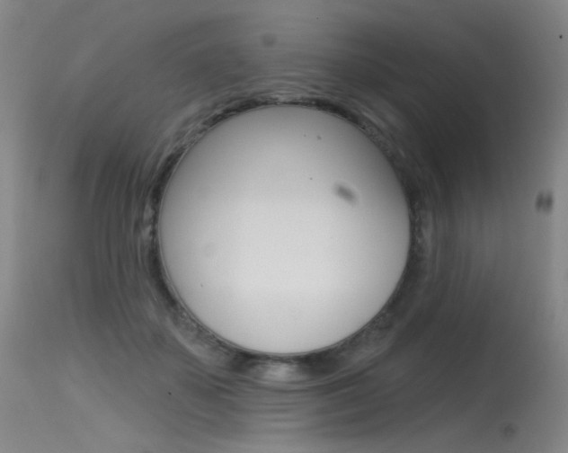 X0000115530507200911061130