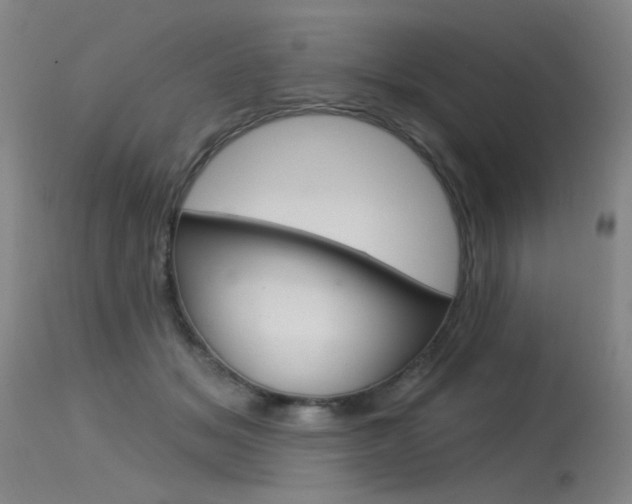 X0000115530509200911061130