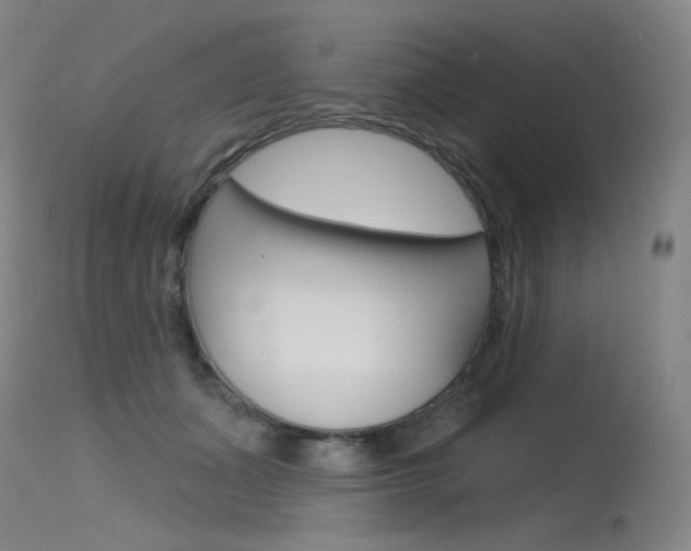 X0000115530511200911061130