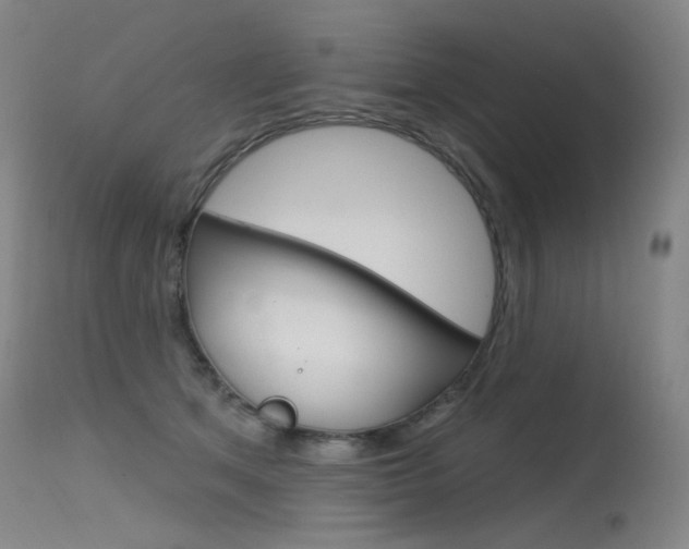 X0000115530513200911061130