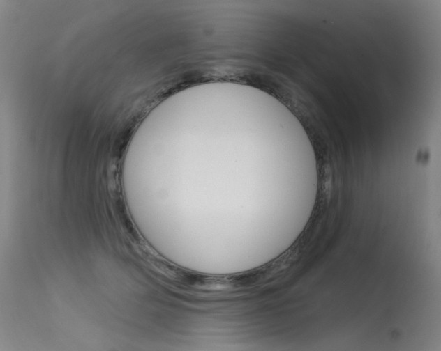 X0000115530514200911061130