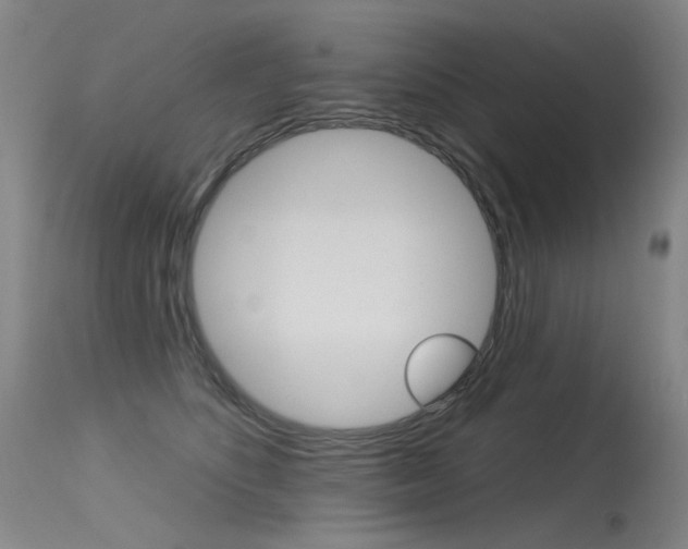 X0000115530516200911061130