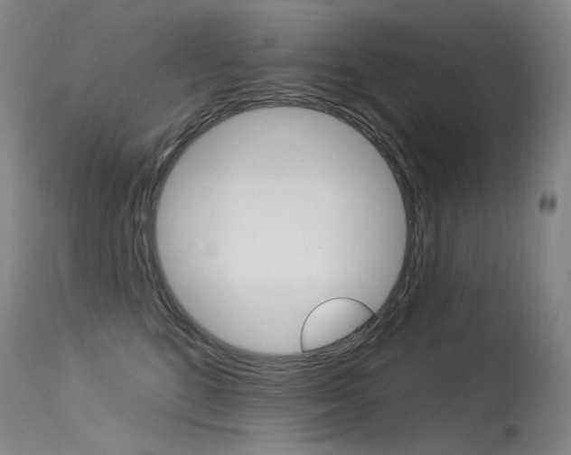 X0000115530520200911061130