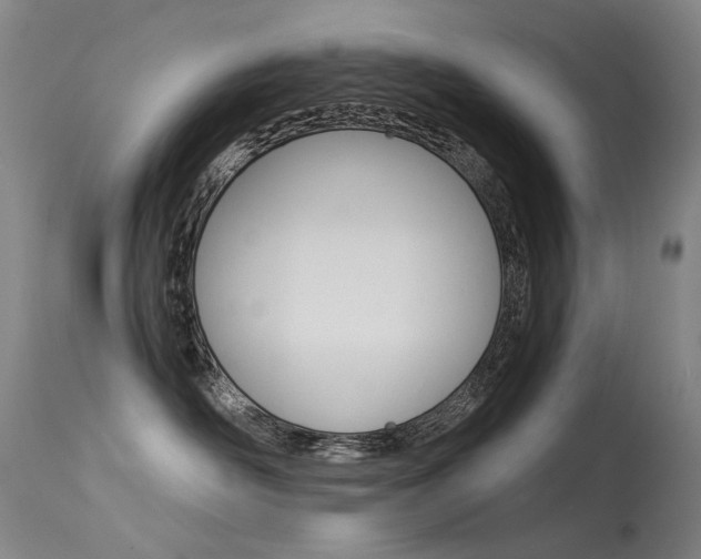 X0000115530526200911061130