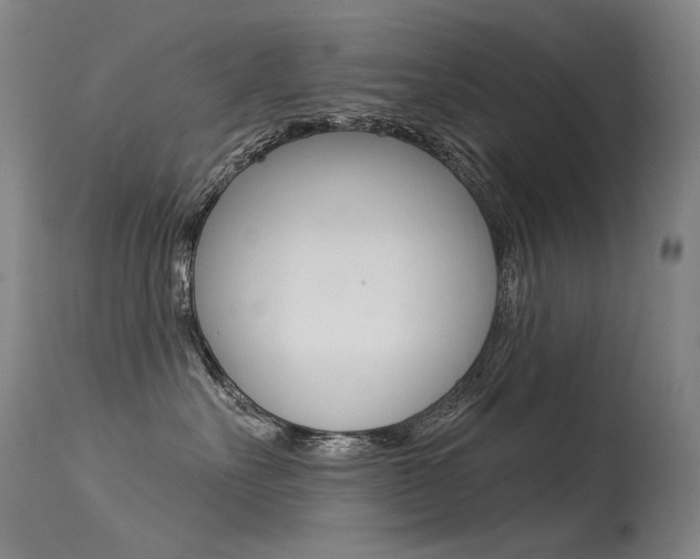 X0000115530527200911061130
