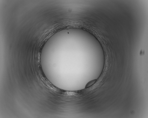 X0000115530528200911061130