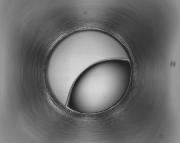 X0000115530530200911061129