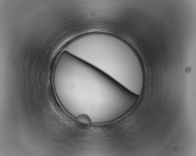 X0000115530531200911061129