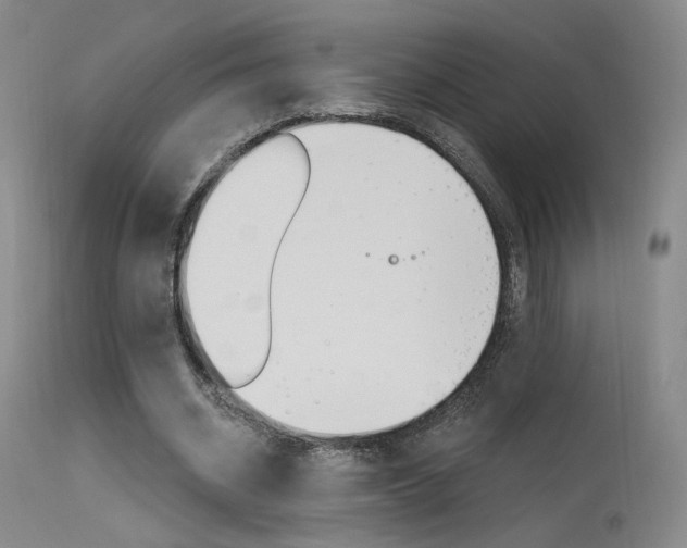 X0000115530534200911061129