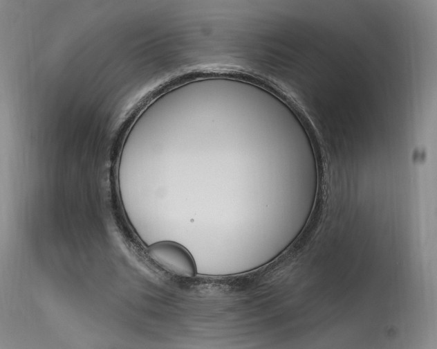 X0000115530535200911061129