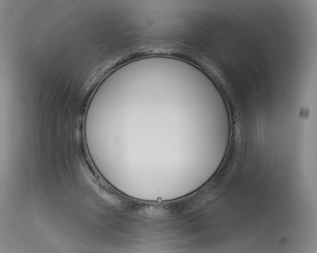 X0000115530537200911061129